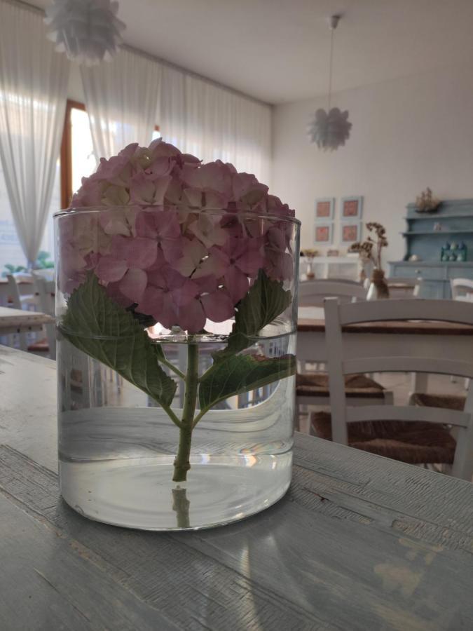 Hotel Imperia Marciana Marina  Luaran gambar